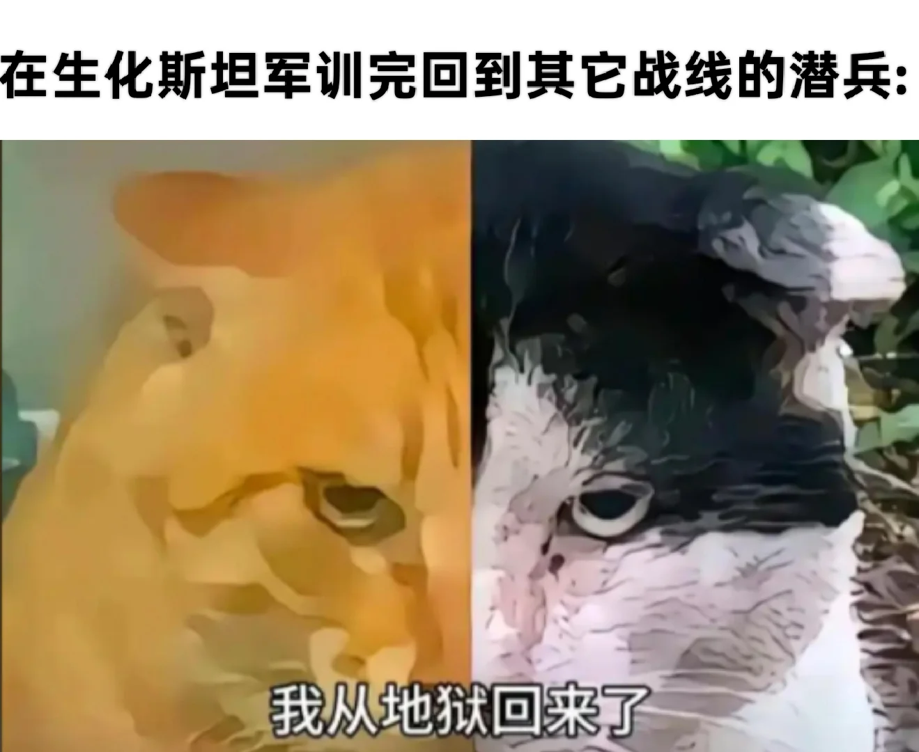 1000017683.png